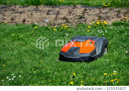 Autonomous Lawn Mower on Green Grass in a Sunny Park During the Day 125535827