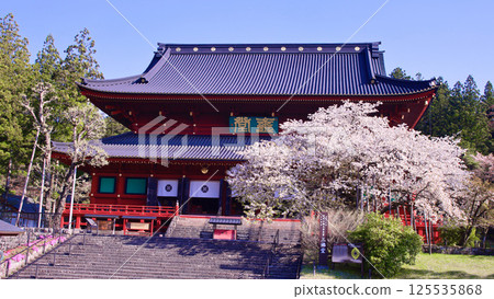 日光市 日光山輪王寺 三佛堂和金剛櫻盛開 125535868