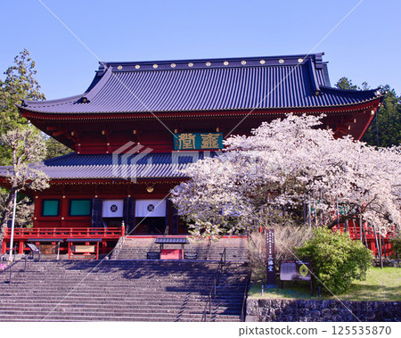 日光市 日光山輪王寺 三佛堂和金剛櫻盛開 125535870