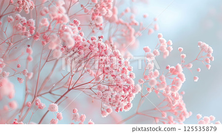 Elegant minimalist floral composition with pink baby's breath flowers covered in frost Elegant minimalist floral composition with pink baby's breath flowers covered in frost 125535879