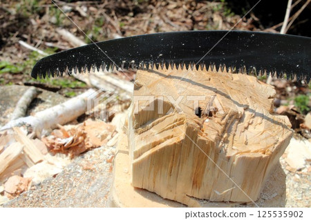 用樺木製作 kuksa 125535902