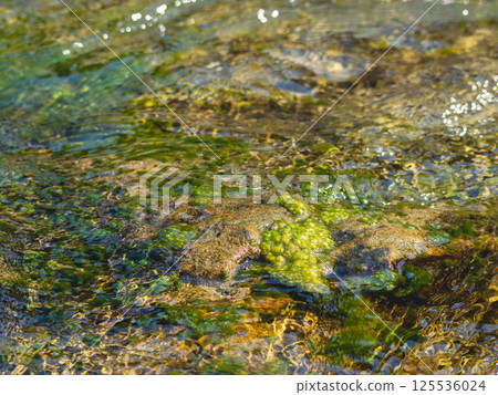 Spring river: Close-up of water flow 52 Spring river: Close-up of water flow 52 125536024
