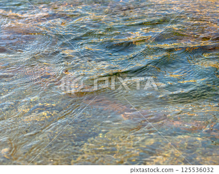 春河:水流特寫 113 春河:水流特寫 113 125536032