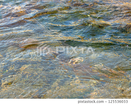 春河:水流特寫 114 春河:水流特寫 114 125536033
