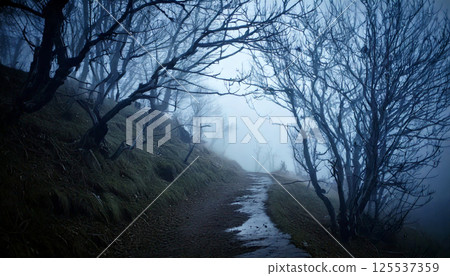 foggy, desolate hillside path winds through gnarled dead trees, creating eerie atmosphere. thick mist envelops landscape, enhancing post apocalyptic feel foggy, desolate hillside path winds through gnarled dead trees, creating eerie atmosphere. thick mist envelops landscape, enhancing post apocalyptic feel 125537359