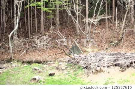 Bushcraft camp Bushcraft camp 125537610