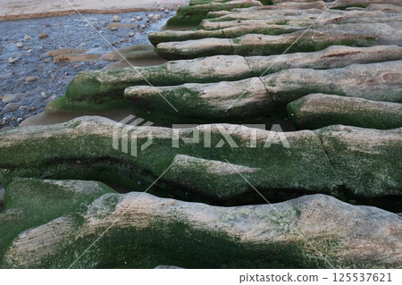 老梅綠石槽 125537621