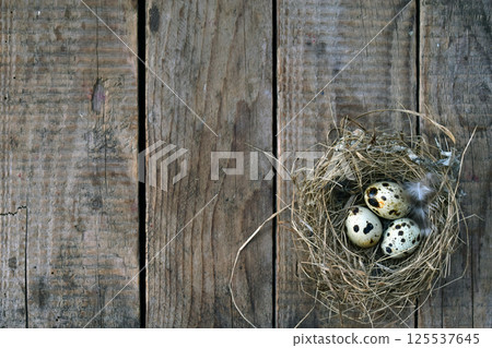 Rustic wooden background with an empty bird nest placed on it symbolizing nature simplicity and countryside life perfect for eco design concepts rural lifestyle and natural backgrounds Rustic wooden background with an empty bird nest placed on it symbolizing nature simplicity and countryside life perfect for eco design concepts rural lifestyle and natural backgrounds 125537645