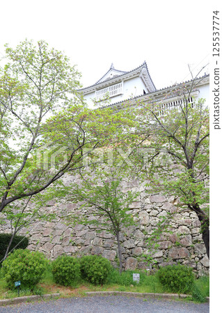 Tsuyama Castle ruins (Tsuyama City, Okayama Prefecture) 125537774