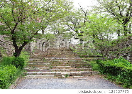 Tsuyama Castle Ruins, Stamp Gate Remains (Tsuyama City, Okayama Prefecture) Tsuyama Castle Ruins, Stamp Gate Remains (Tsuyama City, Okayama Prefecture) 125537775