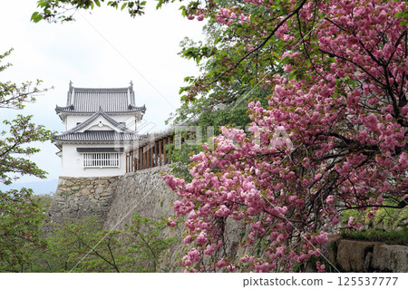 津山城遺址，眺望備中櫓（岡山縣津山市） 125537777