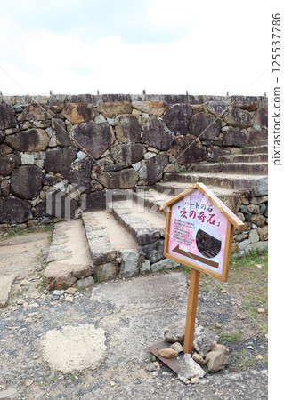 津山城遺址的心形石（岡山縣津山市） 125537786