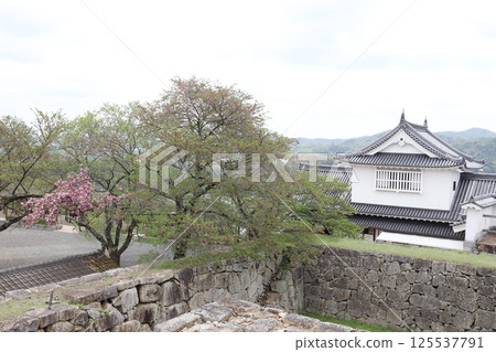 Tsuyama Castle Ruins, Bitchu Tower (Tsuyama City, Okayama Prefecture) 125537791