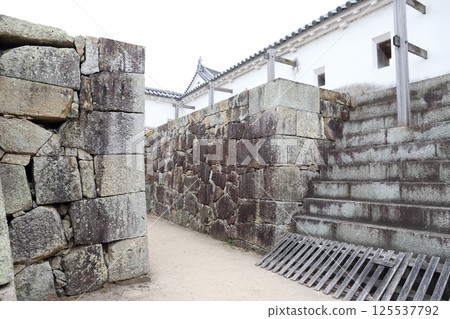 津山城跡（岡山縣津山市） 125537792