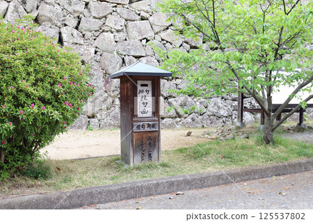 Tsuyama Castle ruins (Tsuyama City, Okayama Prefecture) 125537802