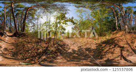 Full seamless 360 degree angle view spherical HDRi panorama of green forest trails during autumn season in equirectangular projection. AR VR virtual reality content scene natural landscape 125537806