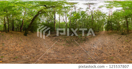 Full seamless 360 degree angle view spherical HDRi panorama of green forest trails during autumn season in equirectangular projection. AR VR virtual reality content scene natural landscape 125537807