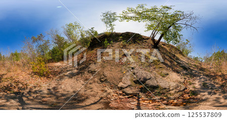 Full seamless 360 degree angle view spherical HDRi panorama of green forest trails during autumn season in equirectangular projection. AR VR virtual reality content scene natural landscape Full seamless 360 degree angle view spherical HDRi panorama of green forest trails during autumn season in equirectangular projection. AR VR virtual reality content scene natural landscape 125537809