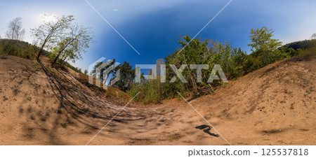 Full seamless 360 degree angle view spherical HDRi panorama of green forest trails during autumn season in equirectangular projection. AR VR virtual reality content scene natural landscape 125537818