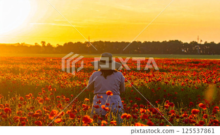 serene scene of lone figure standing in vibrant field of red poppies at sunset, bathed in warm golden light, evoking sense of peace and tranquility serene scene of lone figure standing in vibrant field of red poppies at sunset, bathed in warm golden light, evoking sense of peace and tranquility 125537861
