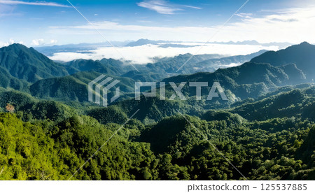 Aerial view of vibrant green tropical mountain range with thick forest canopy, showcasing layers of lush vegetation and distant mountains clear blue sky. scene evokes sense of tranquility Aerial view of vibrant green tropical mountain range with thick forest canopy, showcasing layers of lush vegetation and distant mountains clear blue sky. scene evokes sense of tranquility 125537885