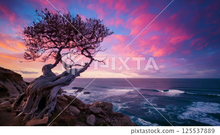 twisted ancient tree stands on cliff edge overlooking ocean, surrounded by vibrant pink and purple clouds in surreal sky. scene evokes sense of tranquility and wonder twisted ancient tree stands on cliff edge overlooking ocean, surrounded by vibrant pink and purple clouds in surreal sky. scene evokes sense of tranquility and wonder 125537889