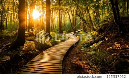 winding wooden path meanders through enchanting forest, illuminated by warm glow of setting sun. scene evokes sense of magic and tranquility, inviting exploration winding wooden path meanders through enchanting forest, illuminated by warm glow of setting sun. scene evokes sense of magic and tranquility, inviting exploration 125537932