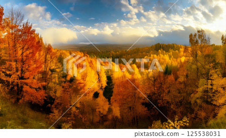 breathtaking panoramic view of colorful forest fall, showcasing vibrant golden and orange foliage dramatic sky with clouds. golden light filters through, creating warm and inviting atmosphere 125538031