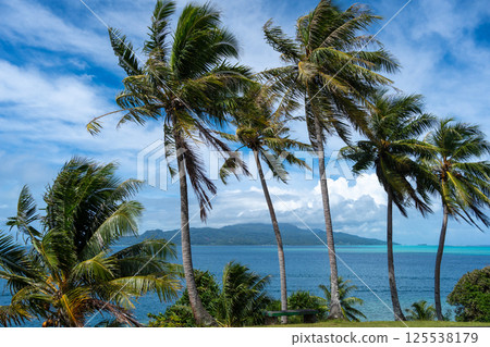Panoramic View of Raiatea Island from Tahaa, French Polynesia Panoramic View of Raiatea Island from Tahaa, French Polynesia 125538179