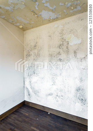 Moss and Mold spots on the ceiling on wall 125538680