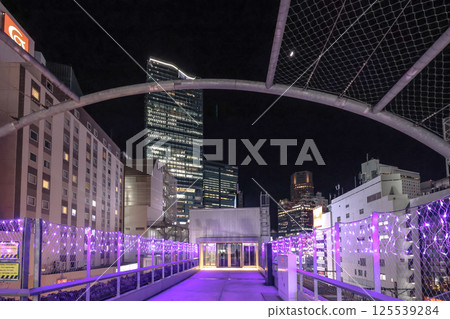 Nighttime Urban Park with Decorative Lights and Visitors Dec 8 2024 125539284
