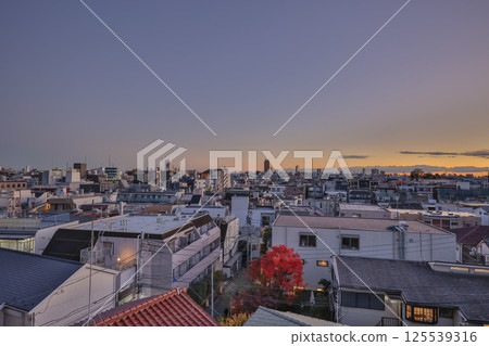 City Skyline at Sunset with Buildings and Evening Sky, Tokyo Dec 8 2024 125539316