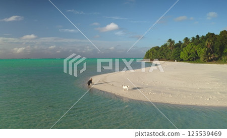 Man plays with his dog on a tropical beach with white sand and turquoise waters, surrounded by palm trees and a clear blue sky 125539469