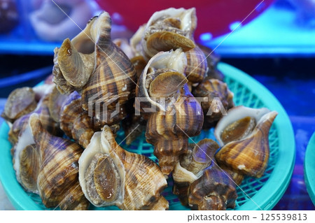 Fresh Whelks A Pile of Sea Snails Ready for Cooking Fresh Whelks A Pile of Sea Snails Ready for Cooking 125539813