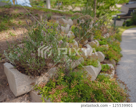 Vienna, Austria, July 19, 2023. Apartment in residential building exterior. 125539901