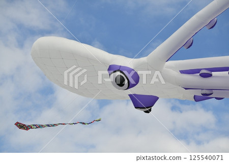 White Octopus kites in the sky Kite festival. White Octopus kites in the sky Kite festival. 125540071