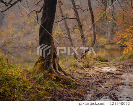 Plitvice Lakes in Croatia during autumn Plitvice Lakes in Croatia during autumn 125540092