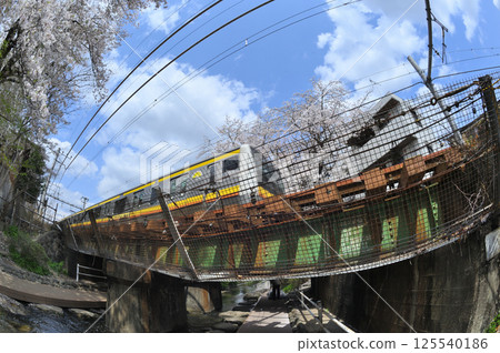 Cherry blossoms in the city 125540186