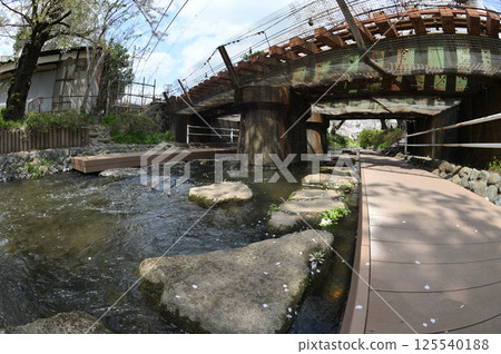 Cherry blossoms in the city 125540188