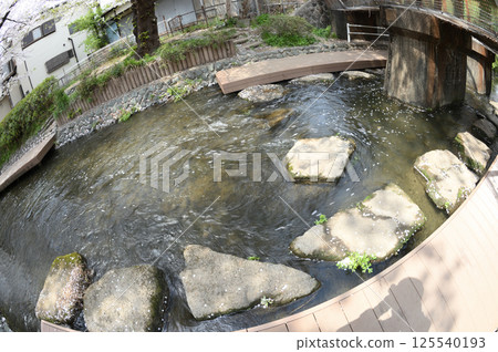 Cherry blossoms in the city 125540193