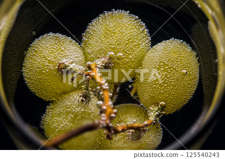 Ripe grapes are submerged in water, creating an effect of lightness and freshness. The grapes are covered with numerous tiny bubbles that add dynamism to the photo.  Ripe grapes are submerged in water, creating an effect of lightness and freshness. The grapes are covered with numerous tiny bubbles that add dynamism to the photo.  125540243