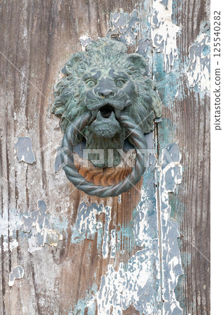 Old lion head door knocker on wood 125540282