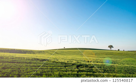 serene landscape featuring lush green fields under clear blue sky, illuminated by gentle sunlight. soft focus bokeh effect enhances tranquil atmosphere of this minimalistic scene serene landscape featuring lush green fields under clear blue sky, illuminated by gentle sunlight. soft focus bokeh effect enhances tranquil atmosphere of this minimalistic scene 125540817