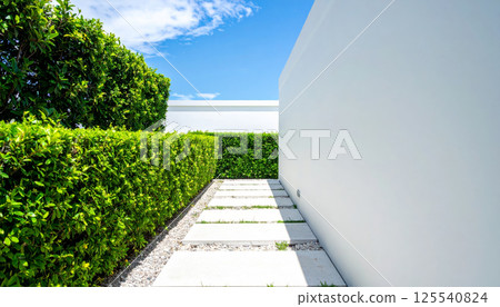 serene minimalist garden featuring white wall and lush green hedges, leading to stone path under bright blue sky. This tranquil space invites relaxation and contemplation 125540824