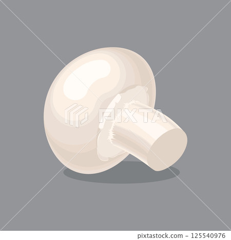 Agaricus, champignon mushroom, colorful vector flat illustration 125540976
