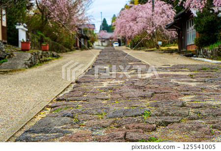 大分市今市的石階風景 125541005