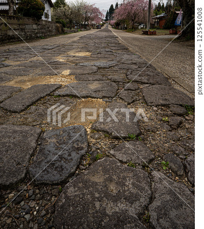 大分市今市的石階風景 125541008