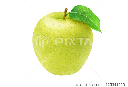 Apple illustration watercolor apple Apple illustration watercolor apple 125541323