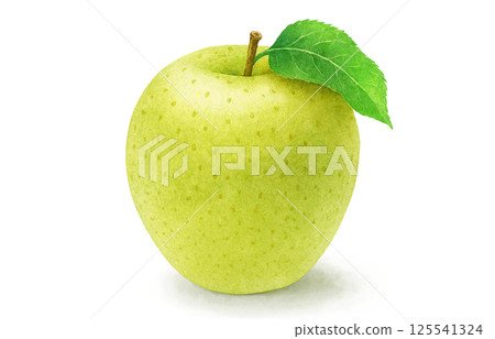 Apple illustration watercolor apple Apple illustration watercolor apple 125541324