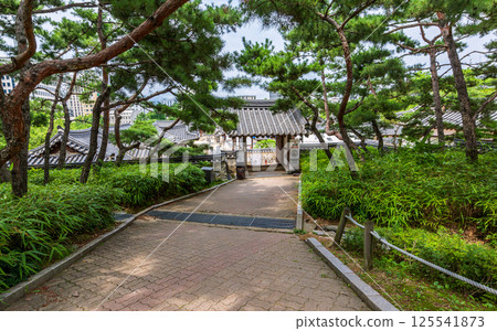 Traditional Korean houses and tiled rooftops viewed from a tree-lined path in a historic Namsangol Hanok Village surrounded by greenery Traditional Korean houses and tiled rooftops viewed from a tree-lined path in a historic Namsangol Hanok Village surrounded by greenery 125541873